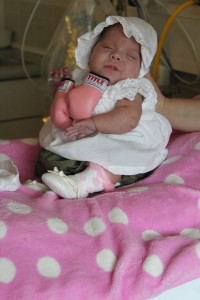 Lily (fighter)